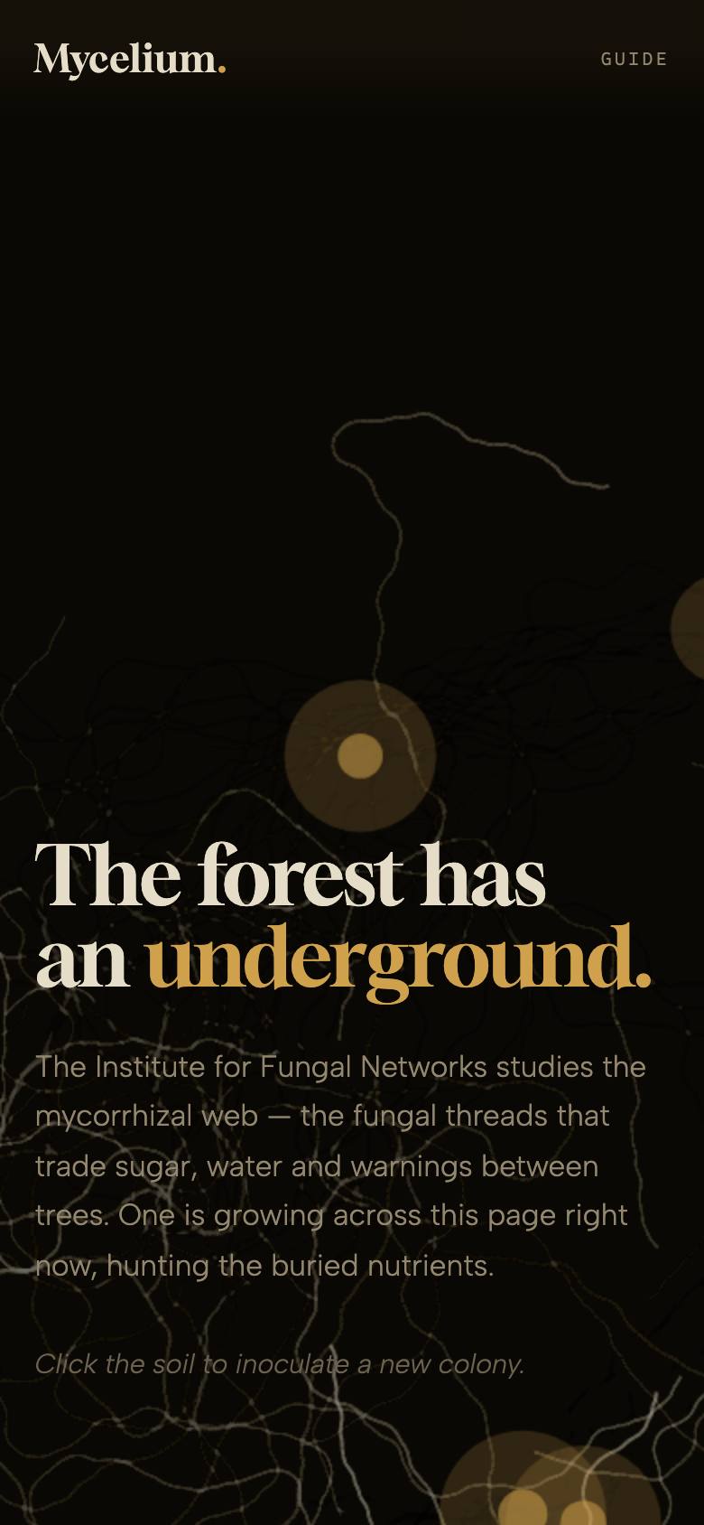 MYCELIUM — mobile view